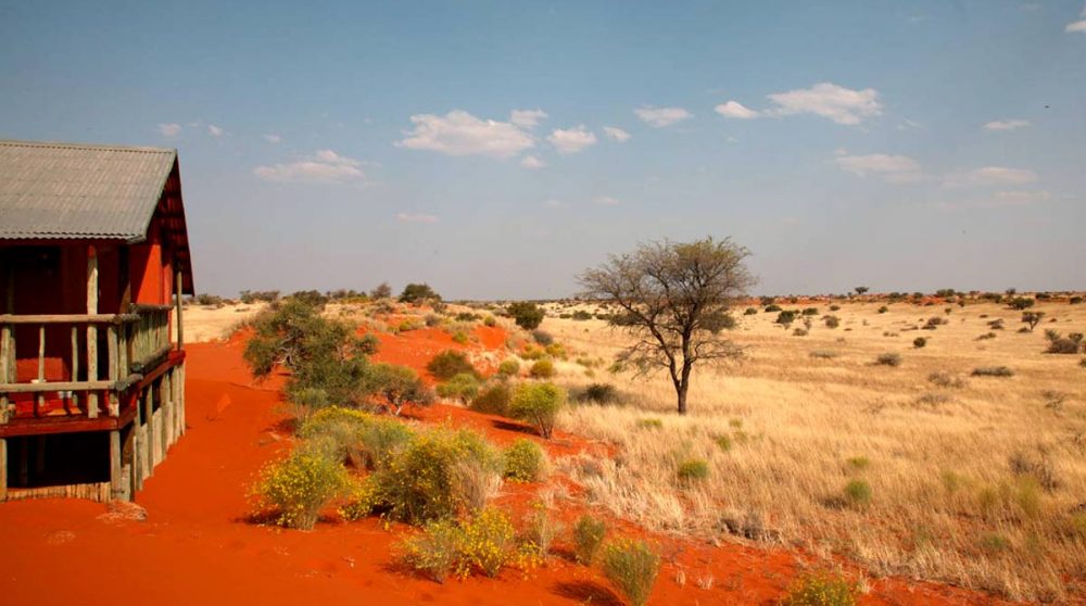 Paysage de savane