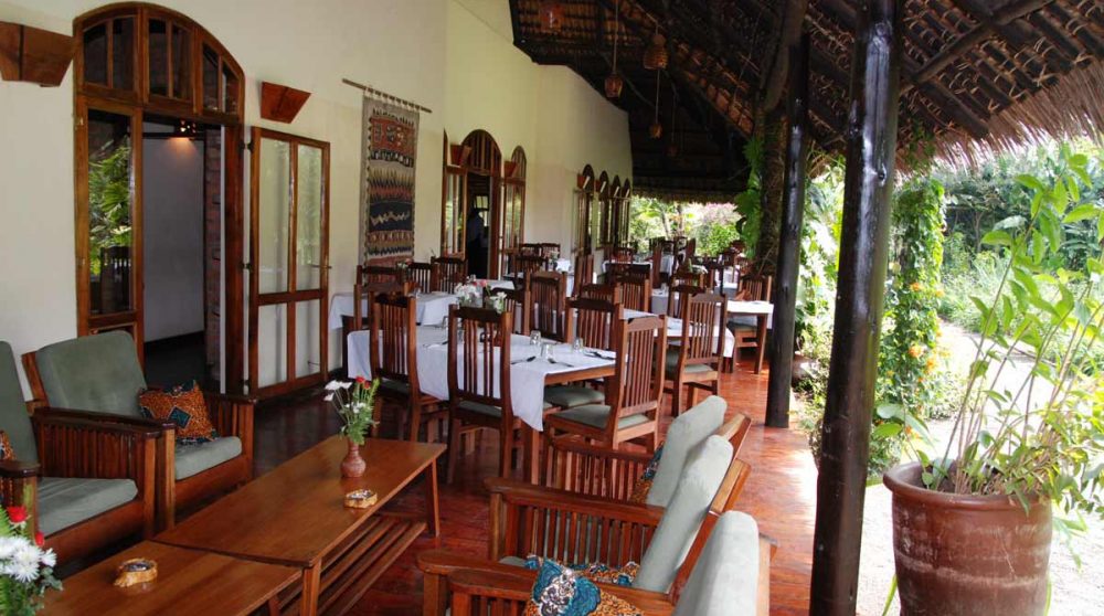 Le salon donnant sur le jardin