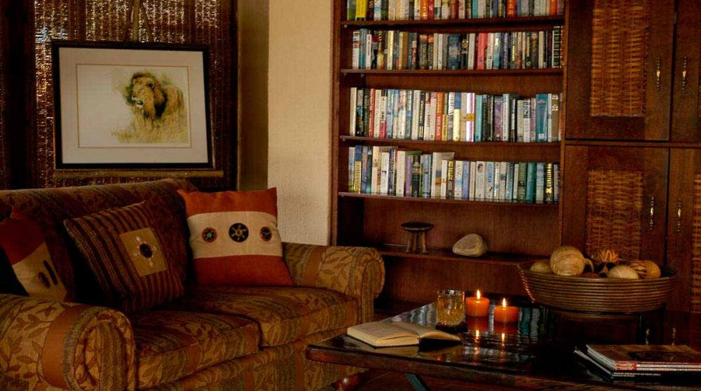 Bibliothèque dans un salon