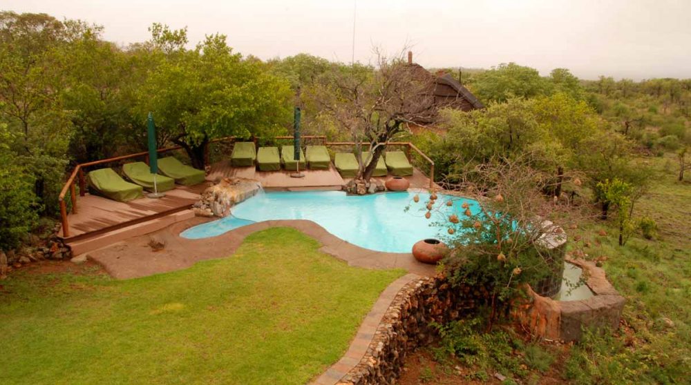 Le jardin avec piscine