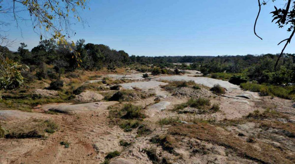 L'environnement du lodge