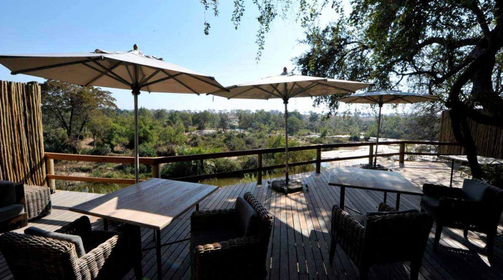 Vue sur la nature depuis la terrasse