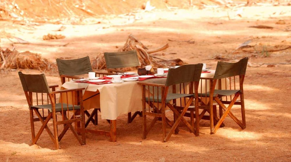 Déjeuner en plein air