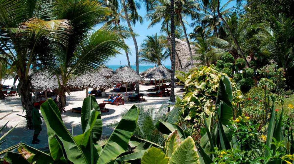 La nature près de la plage