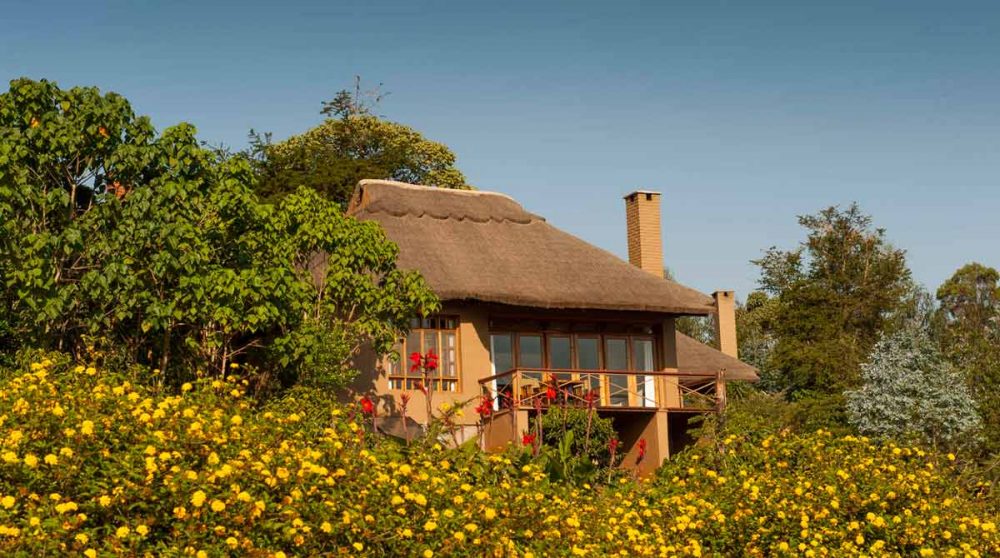 Une chambre au toit de chaume