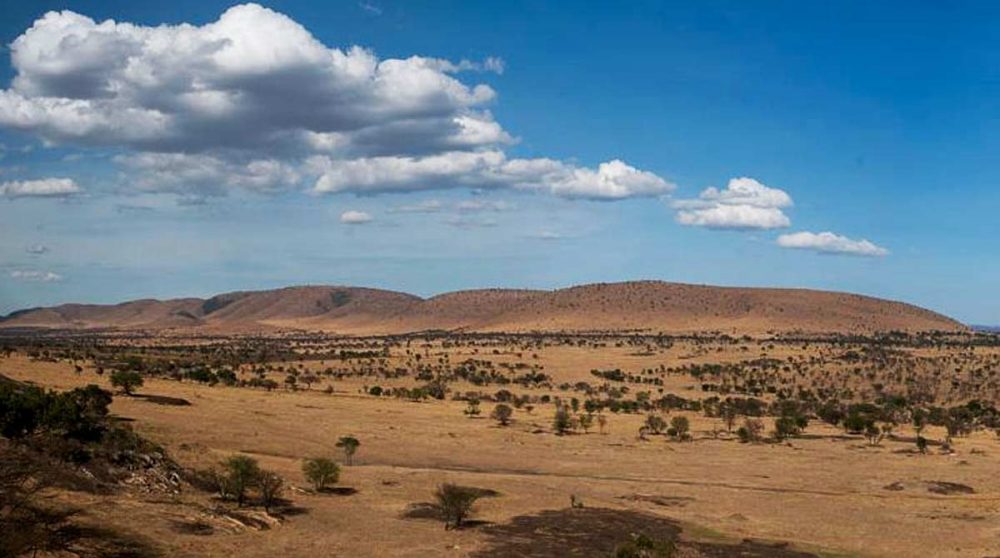 Paysage de savane