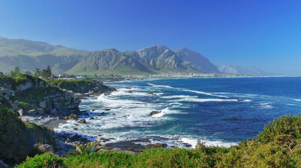 Hermanus