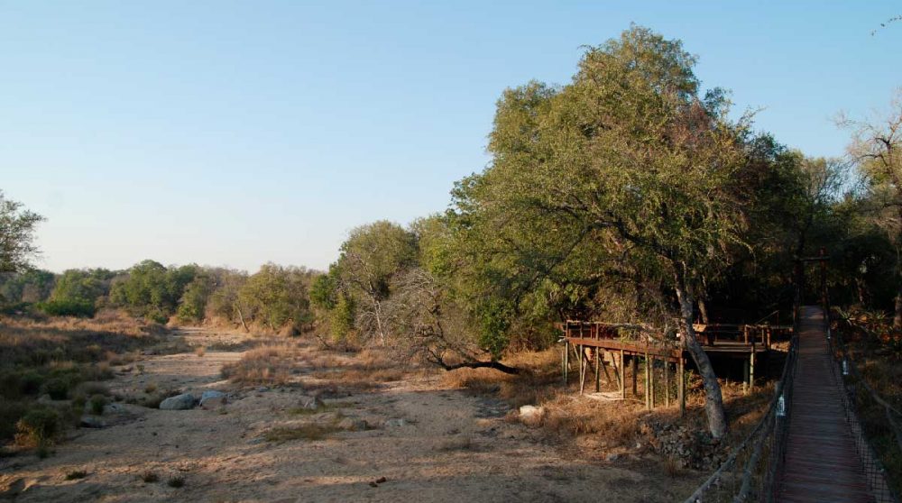 Le Dulini Lodge donne sur une réserve
