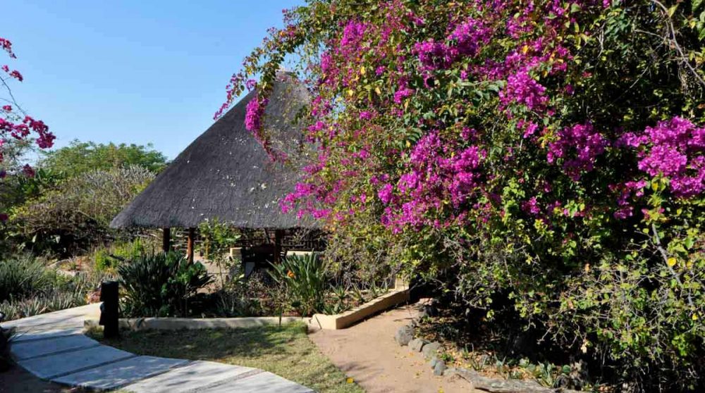 Une allée dans le jardin de l'Elephant Plains