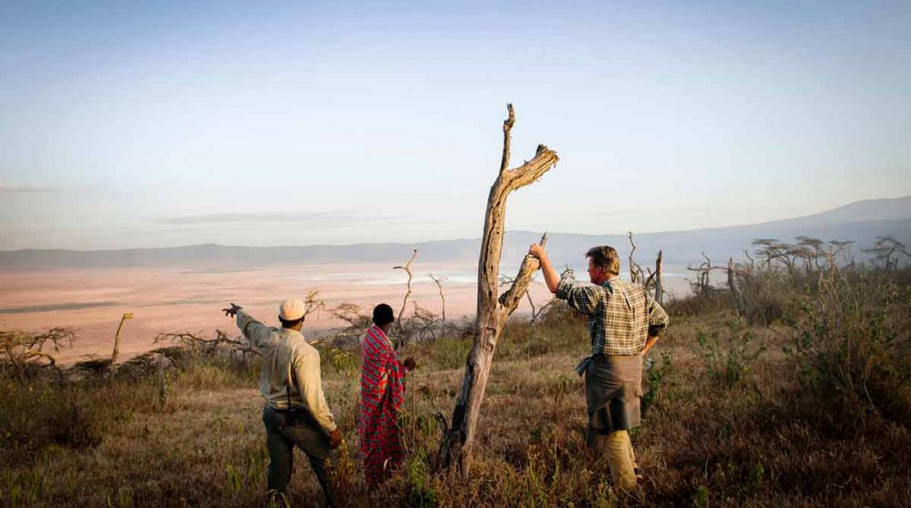 Vue plongeante sur le Cratère à l'Entamanu Ngorongoro