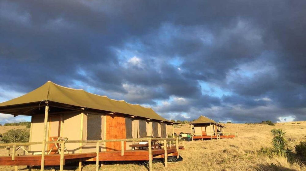 Une Family Tent de l'Amakhala Hlosi Lodge