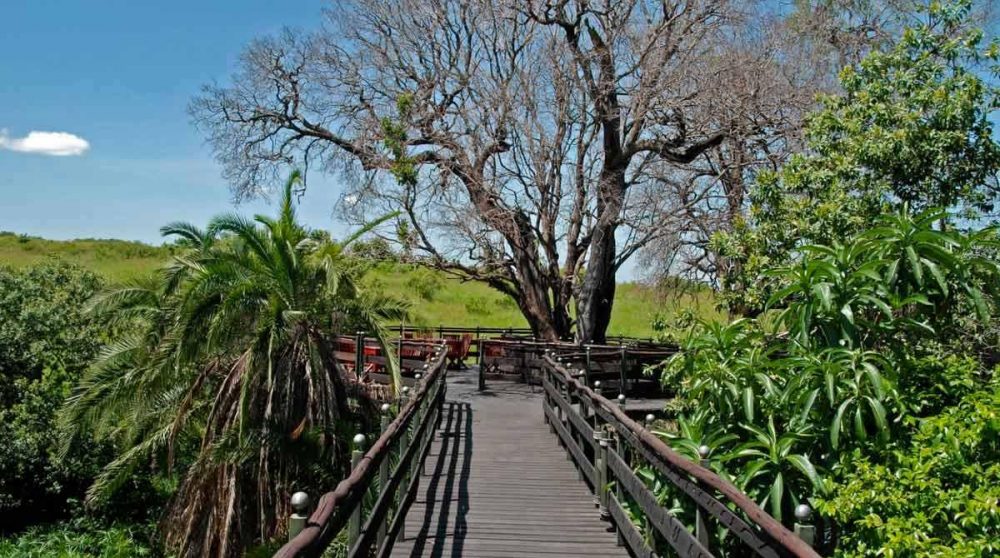 Accès à une terrasse du Keekorok