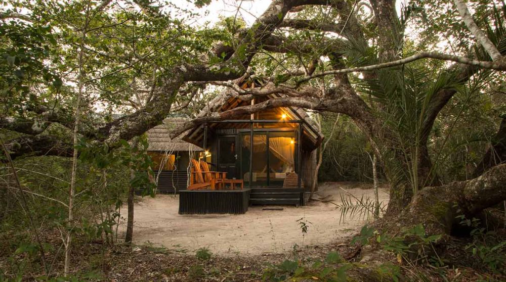 Une chambre au Kosi Forest Lodge