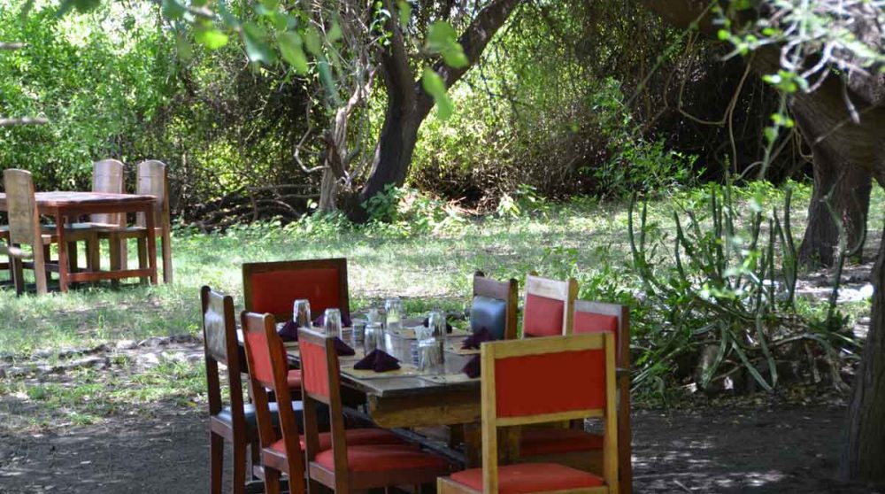 Déjeuner dans le jardin du Lac Natron Tented Camp