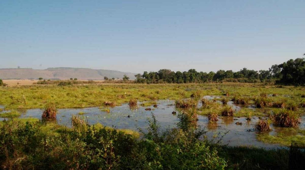 La nature préservée à Little Governors Camp