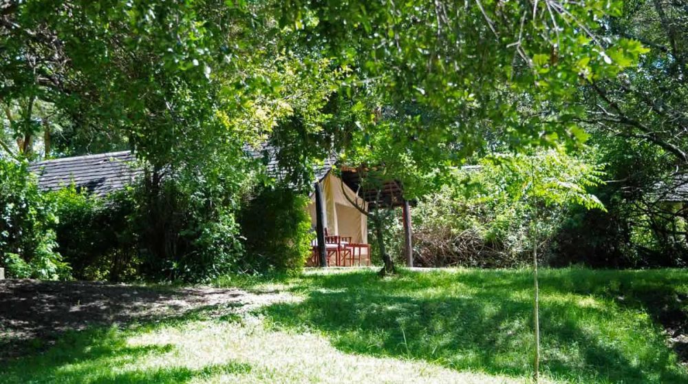 Le jardin du Mara Sarova