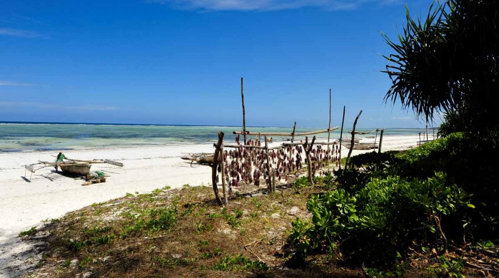 La plage au Matemwe Beach Village