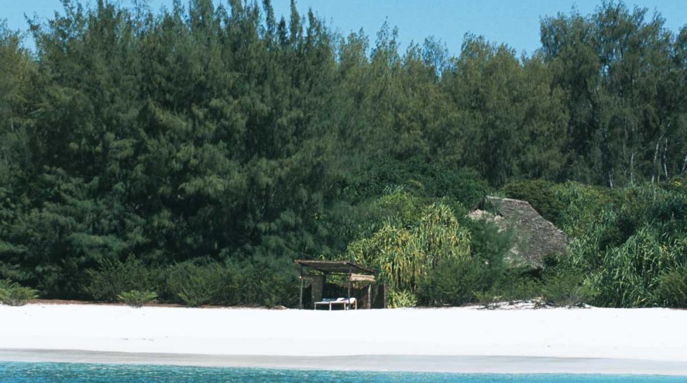 La plage du Mnemba Island