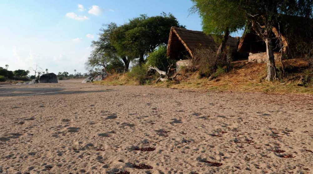 Le Mwagusi Safari Camp