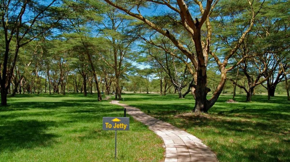 Une allée du jardin au Naivasha Simba Lodge