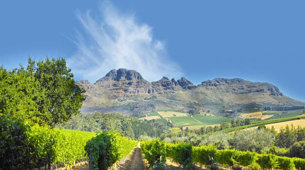 La vallée viticole de Stellenbosch