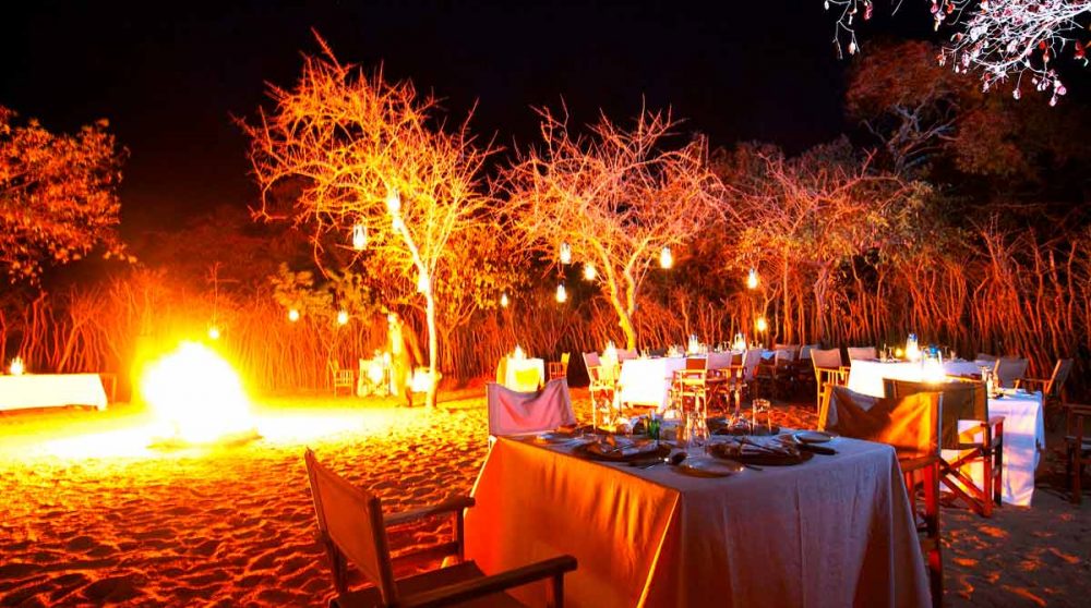 Dîner au Tarangire Treetops