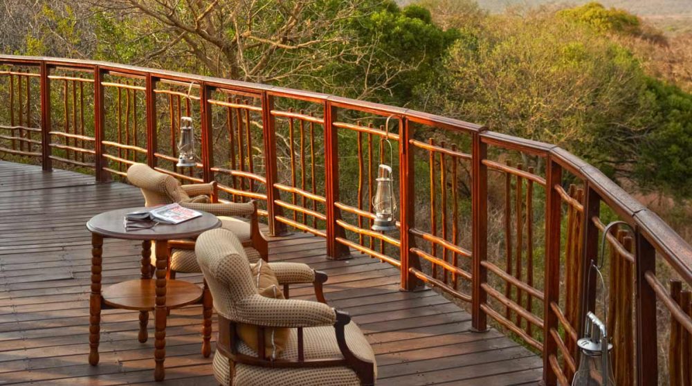 Vue sur la nature depuis la terrasse du Thanda Tented Camp