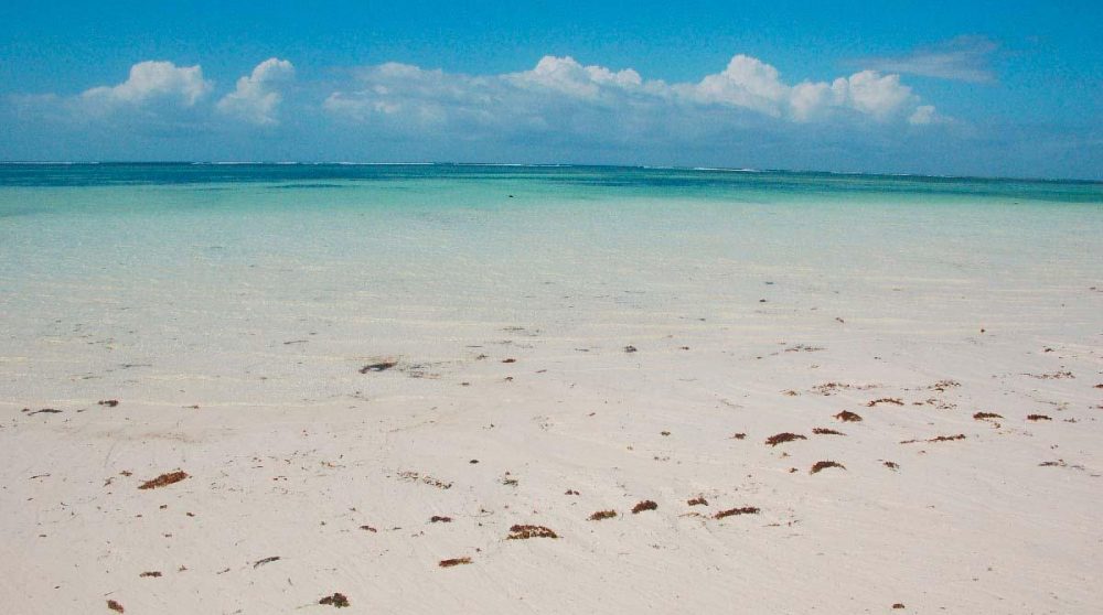 La plage au Waterlovers