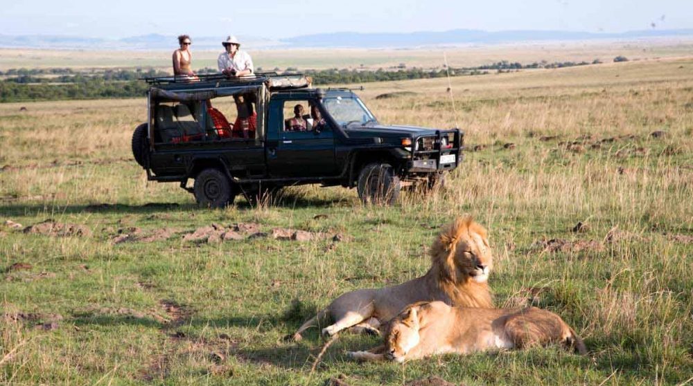 Observation lors d'un safari dans le Masai Mara