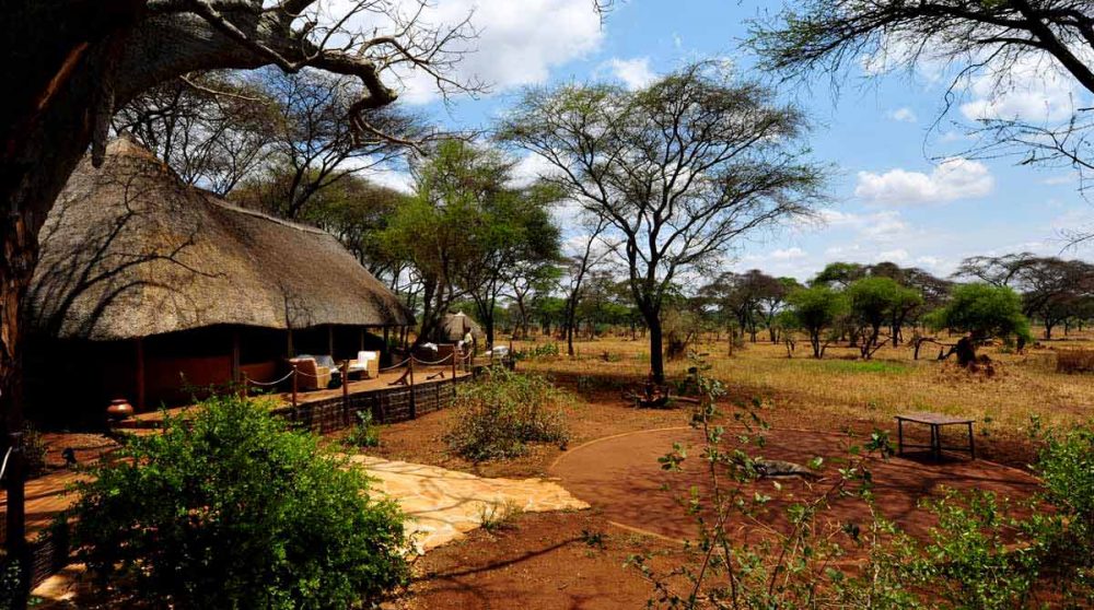 La savane dans le parc de Tarangire