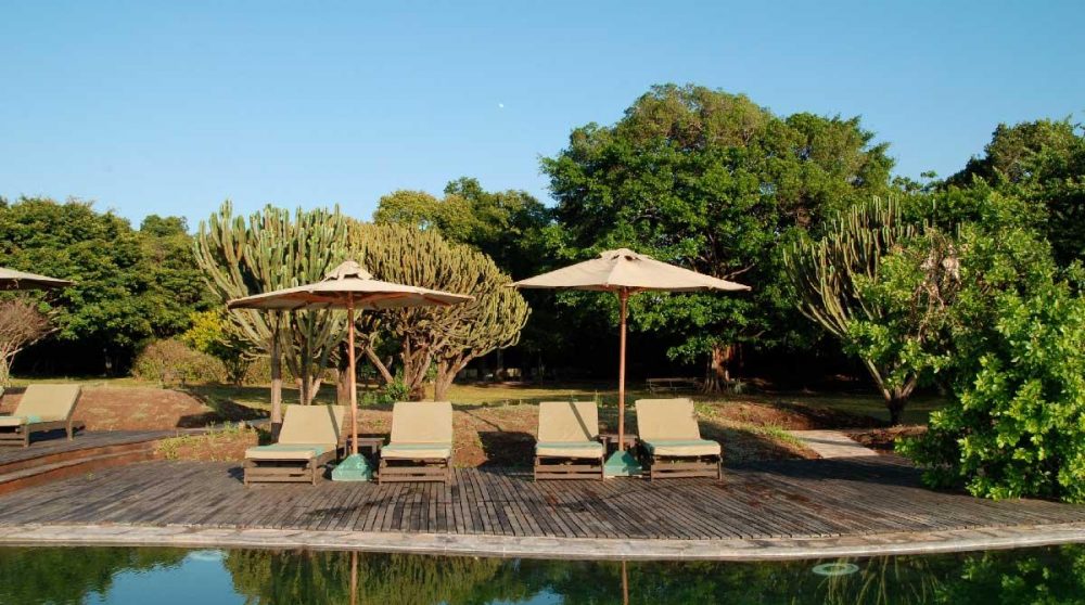 Chaises longues au bord de la piscine dans le Masai Mara