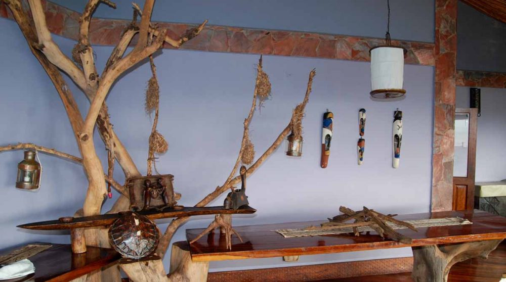 La décoration dans le Serengeti