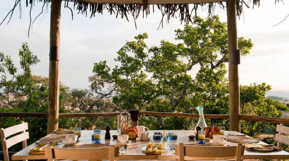 Déjeuner sur la terrasse dans le parc du Seregenti