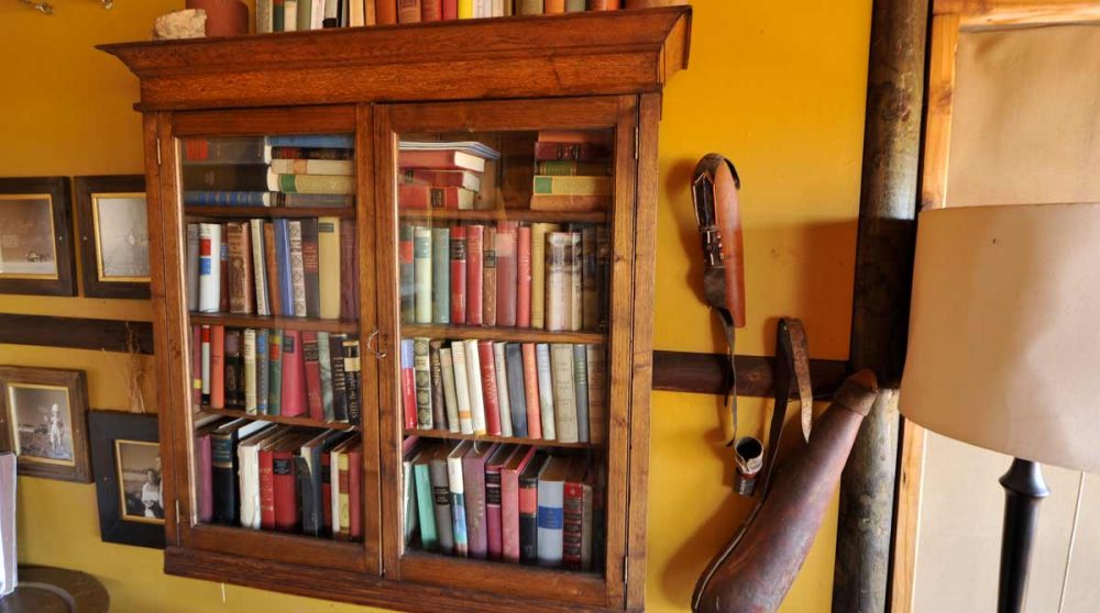 Décoration et bibliothèque dans le salon en Namibie