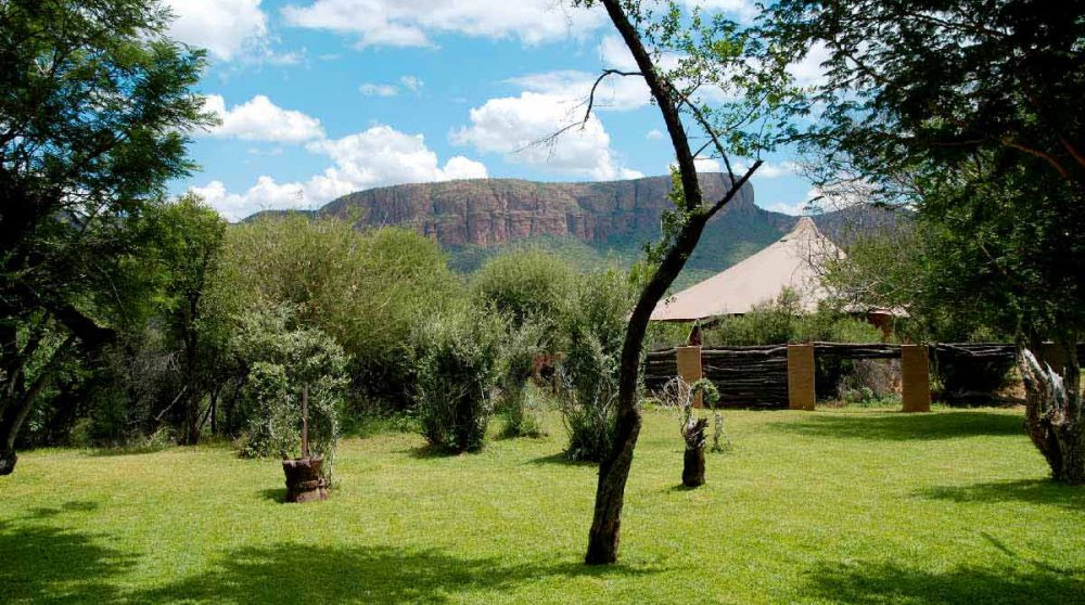 Le jardin en Afrique du Sud