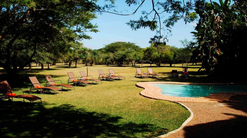 La piscine et le jardin en Afrique du Sud