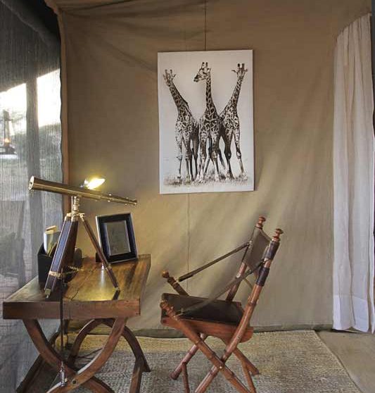 Le coin bureau à Little Chem Chem