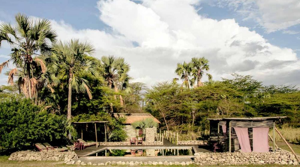 La végétation autour de l'hôtel dans le parc national de Tarangire