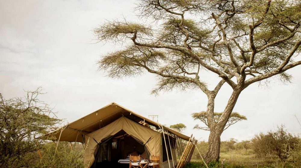 Une tente dans le Serengeti