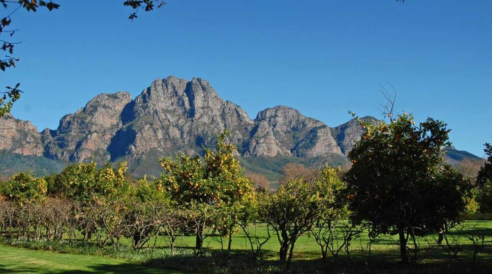 La pripriété viticole de Boschendal