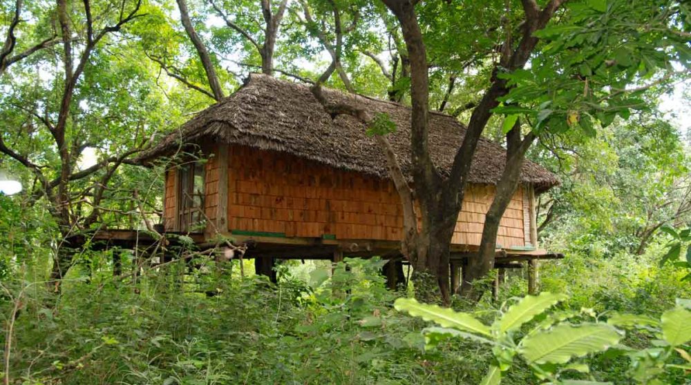 Une chambre dans les arbres en Tanzanie