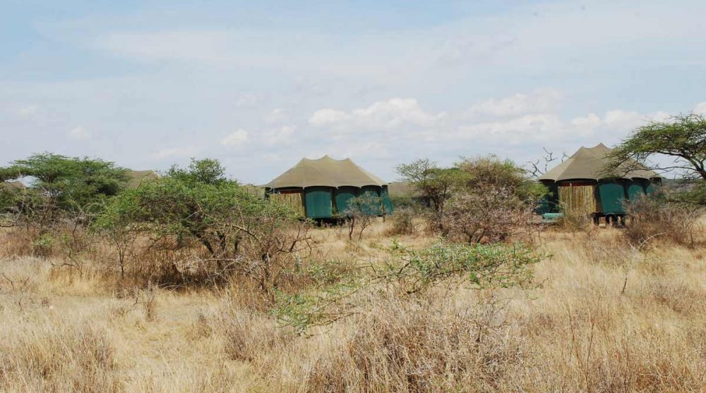 Les tentes dans la nature au Ngorongoro