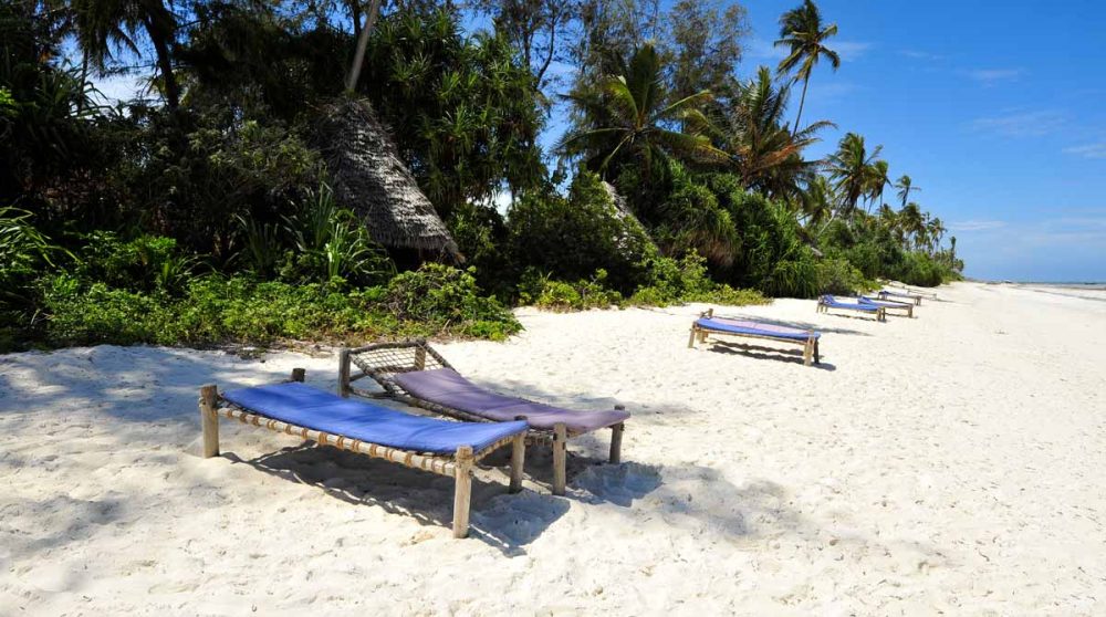 La plage bordée de palmiers