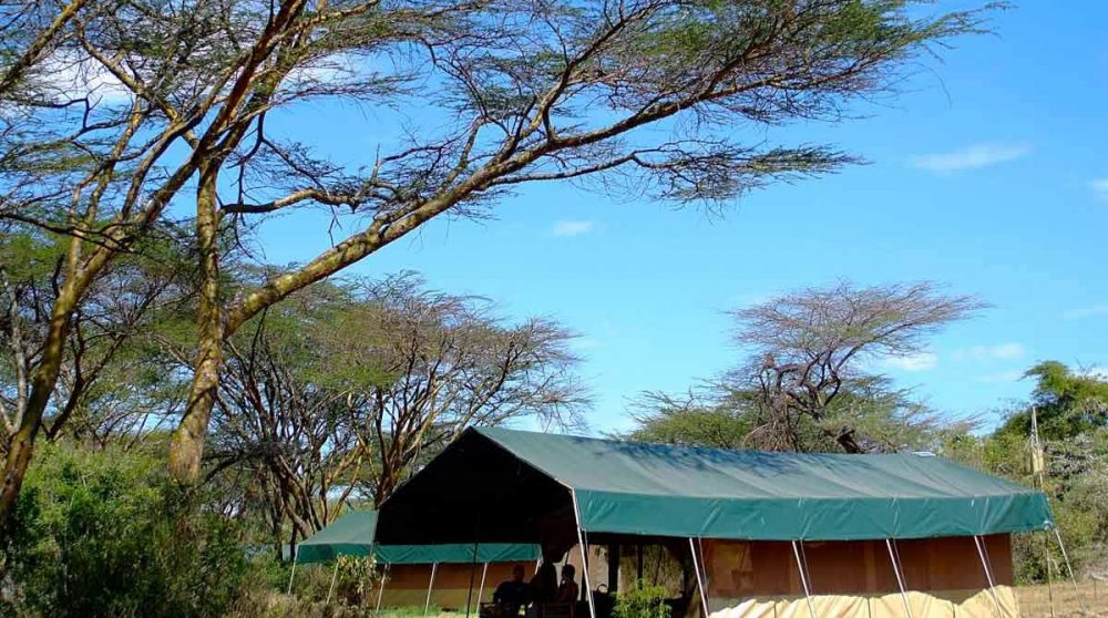 A l'ombre de l'une des 6 tentes