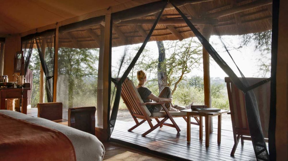 L'intérieur dans le Tarangire