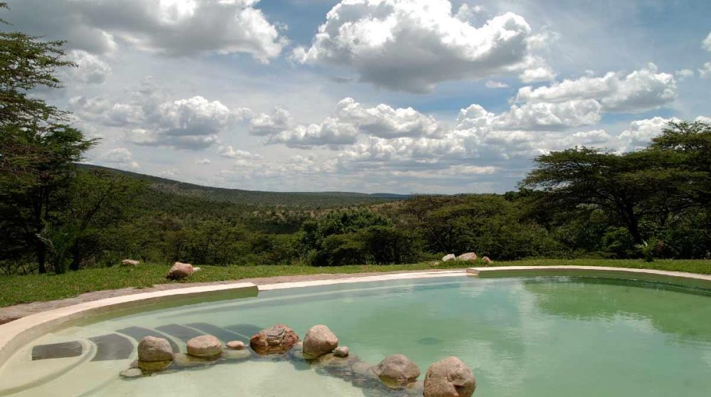 La nature autour de la piscine