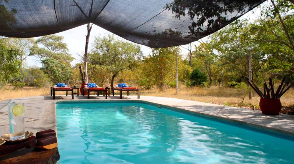 La belle piscine ombragée