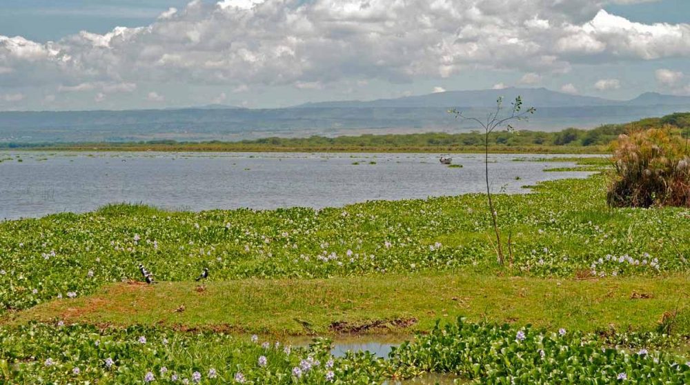 La nature entourant le lodge