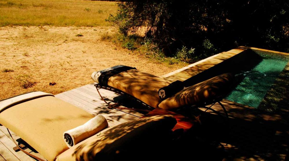 Chaises longues au bord de la piscine