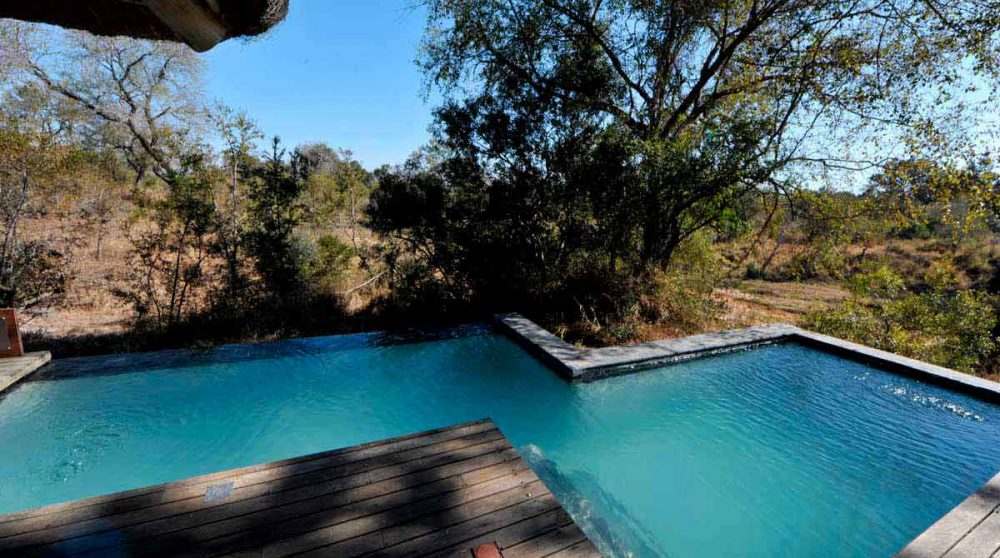La piscine et la terrasse